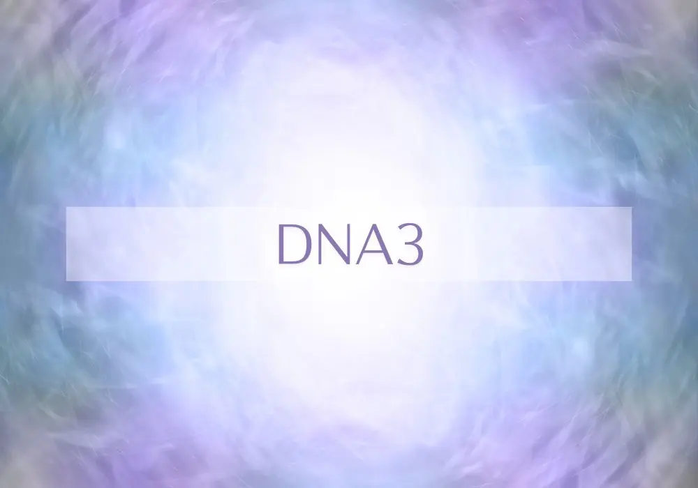 シータヒーリングセミナーDNA3