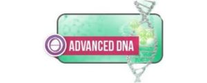 シータヒーリング応用DNAセミナー