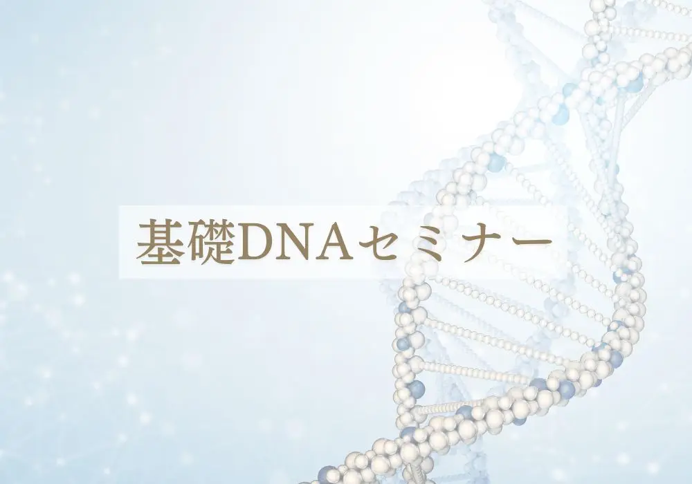 シータヒーリング基礎DNA