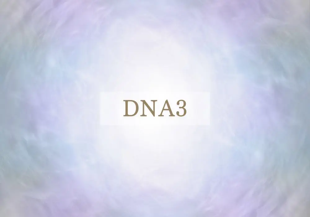 シータヒーリングセミナー「DNA3」